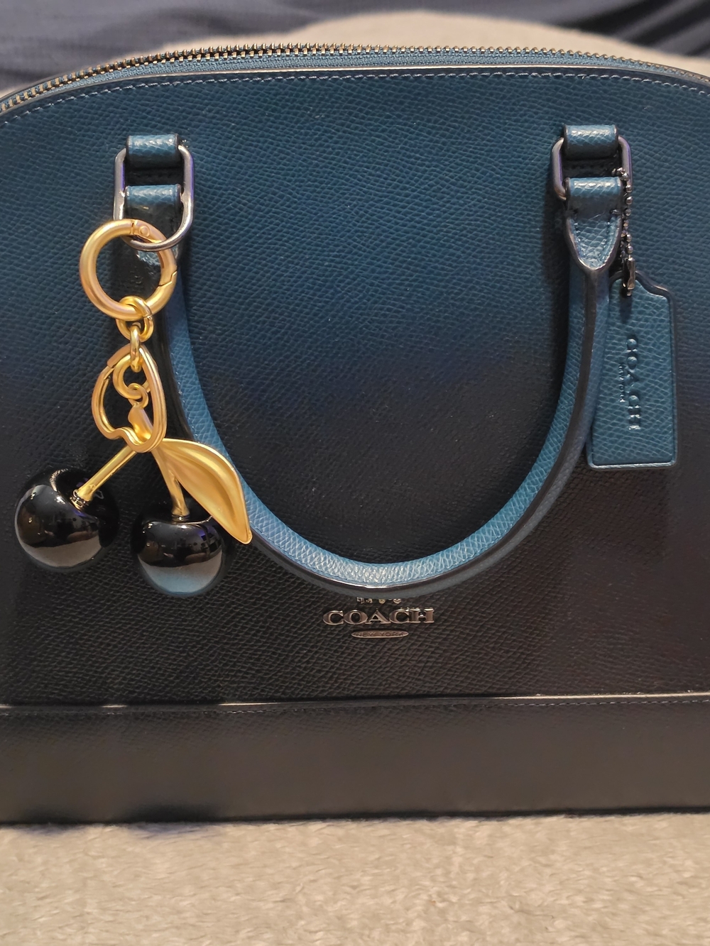Rare COACH Sierra Ombre Dome Satchel with Cherry Charm